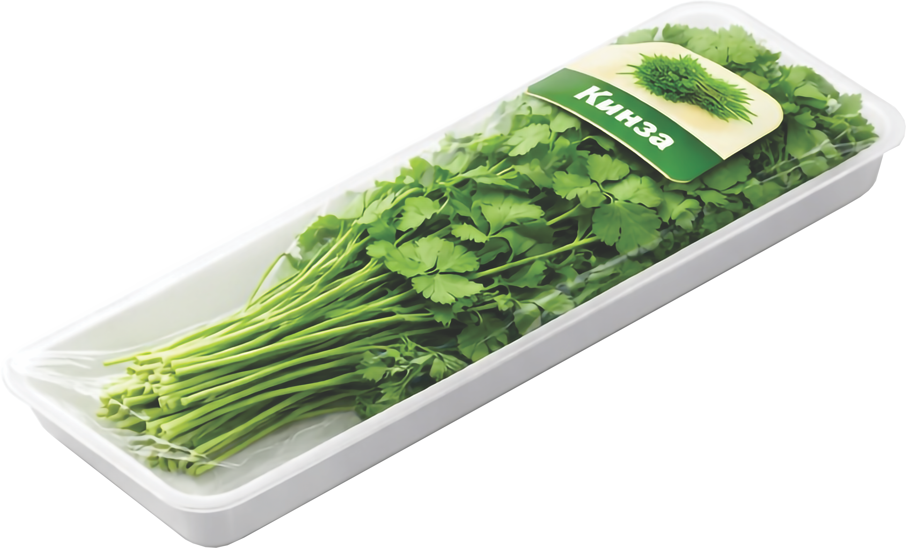 Болгарский перец