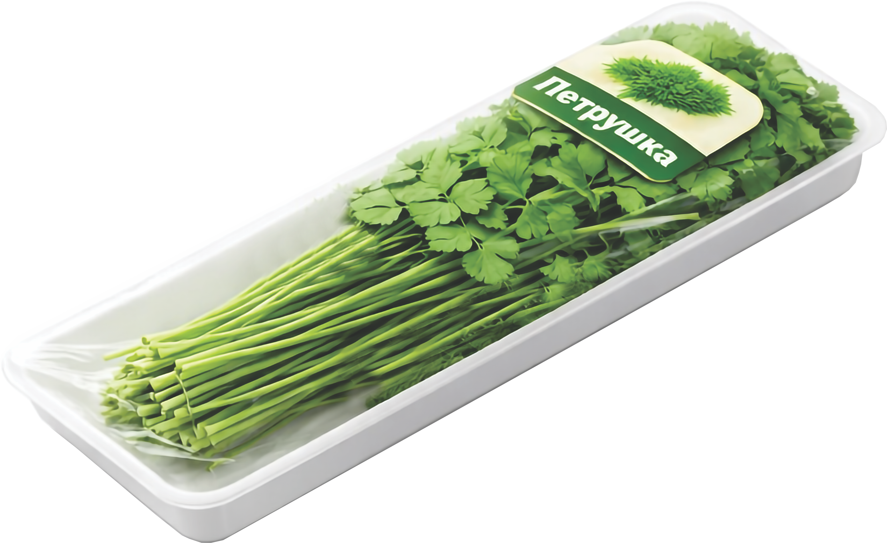 Болгарский перец